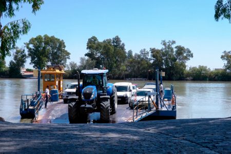 Cruce de peatones y vehículos